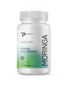 Moringa precio México