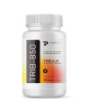 TRIBULUS Terrestris precio México